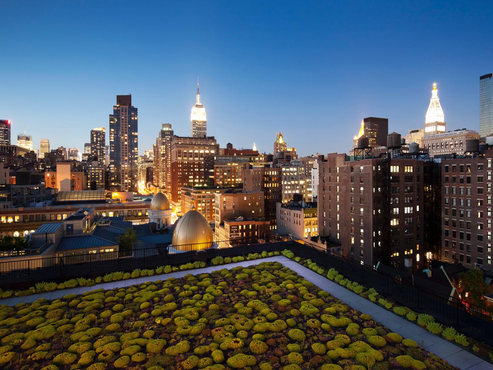 Green Roof Case Study by COOKFOX
