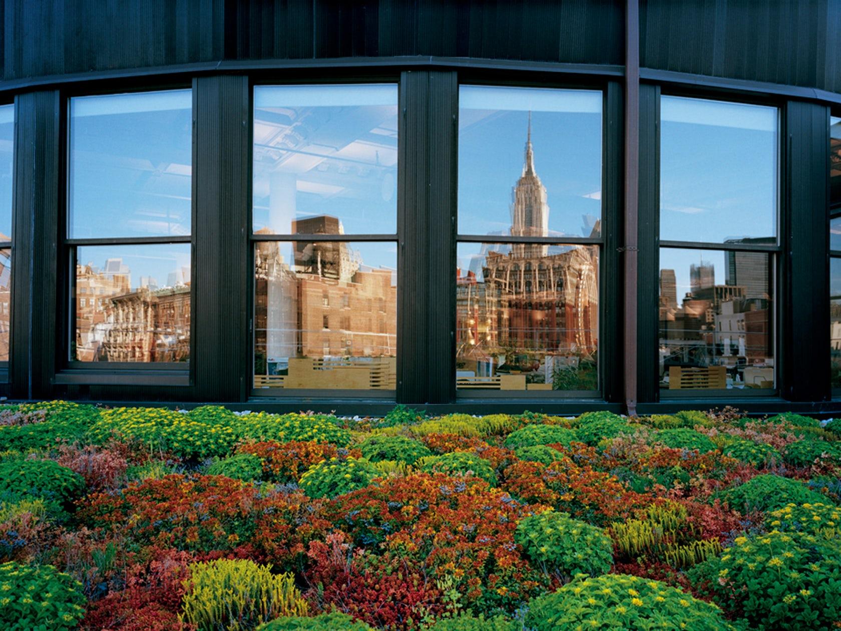 Green Roof Case Study by COOKFOX