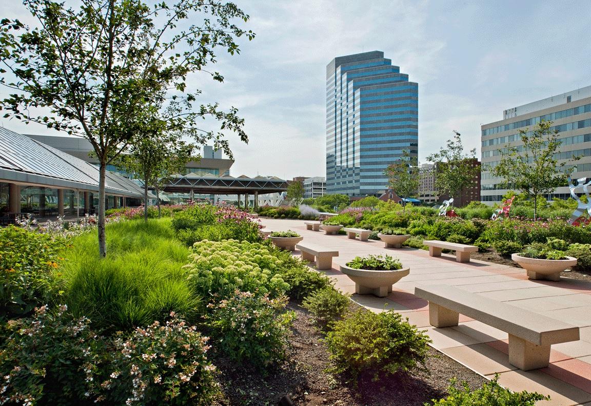 Baltimore Convention Center Intensive Green Roof